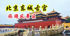 在线观看插的好中国北京-东城古宫旅游风景区